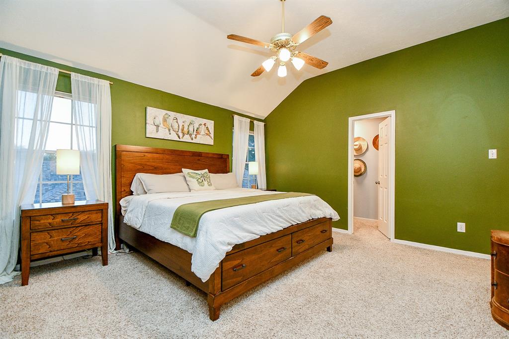117 Island Breeze Circle, League City, Texas image 29