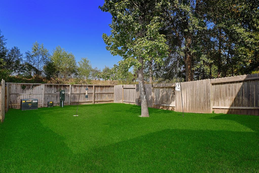 114 Mimosa Silk Ct, Montgomery, Texas image 24