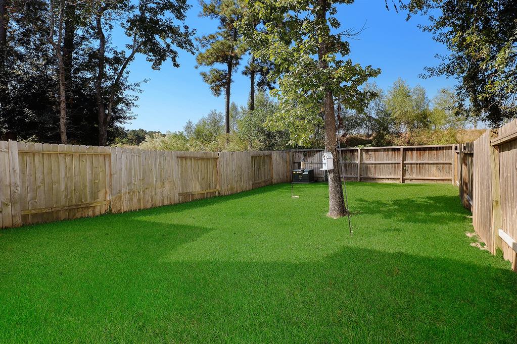 114 Mimosa Silk Ct, Montgomery, Texas image 23