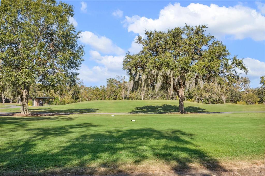 302 Shadywood Road, Houston, Texas image 5