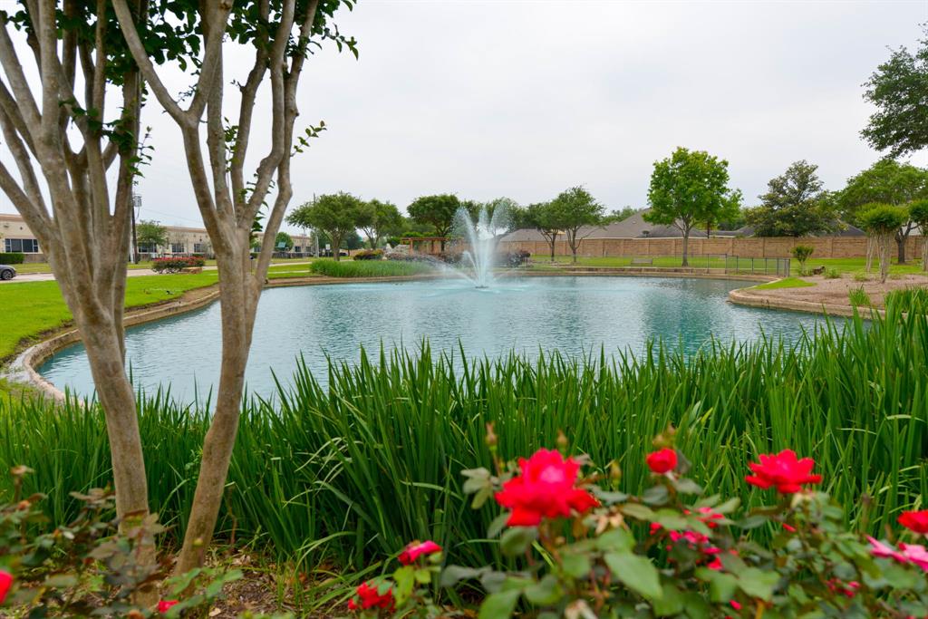 2822 Richland Spring Lane, Sugar Land, Texas image 34