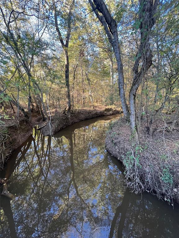00 County Road 3206, Mount Enterprise, Texas image 14