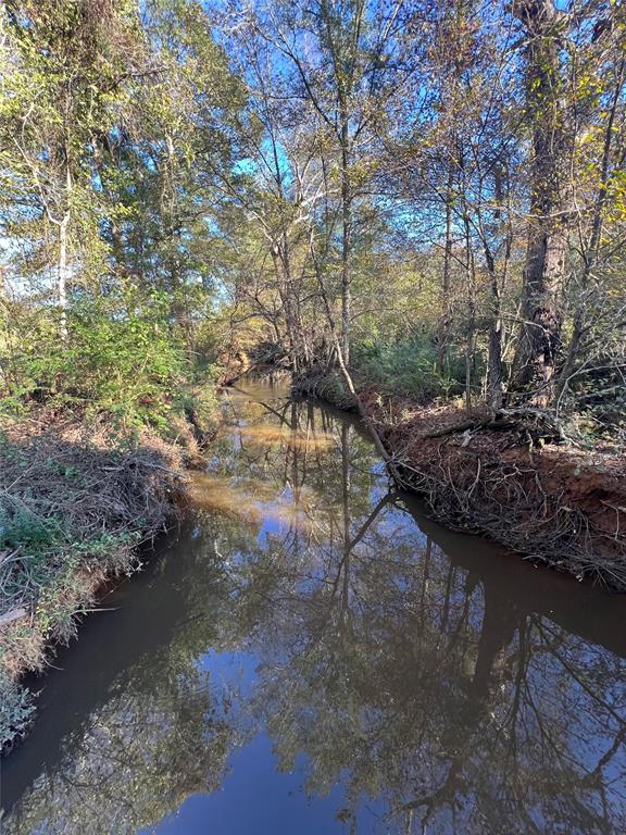 00 County Road 3206, Mount Enterprise, Texas image 4