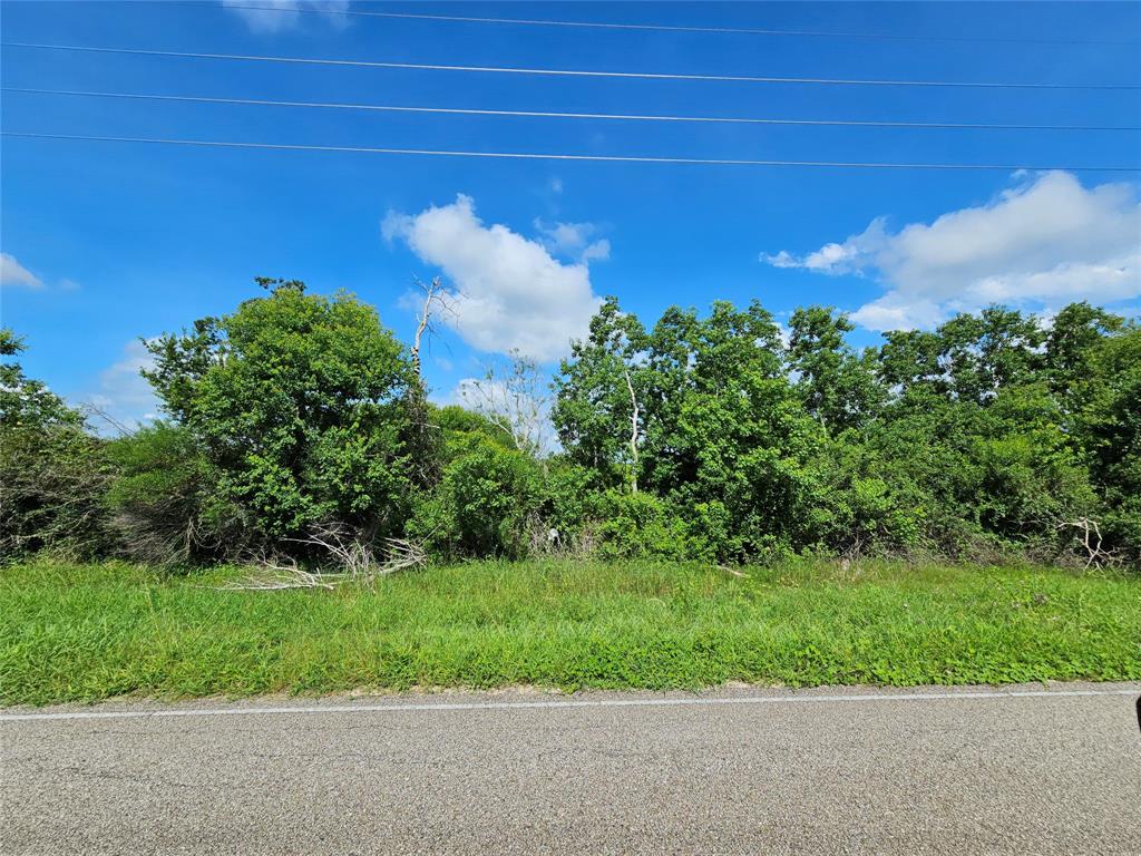 00 County Road 48, Angleton, Texas image 9