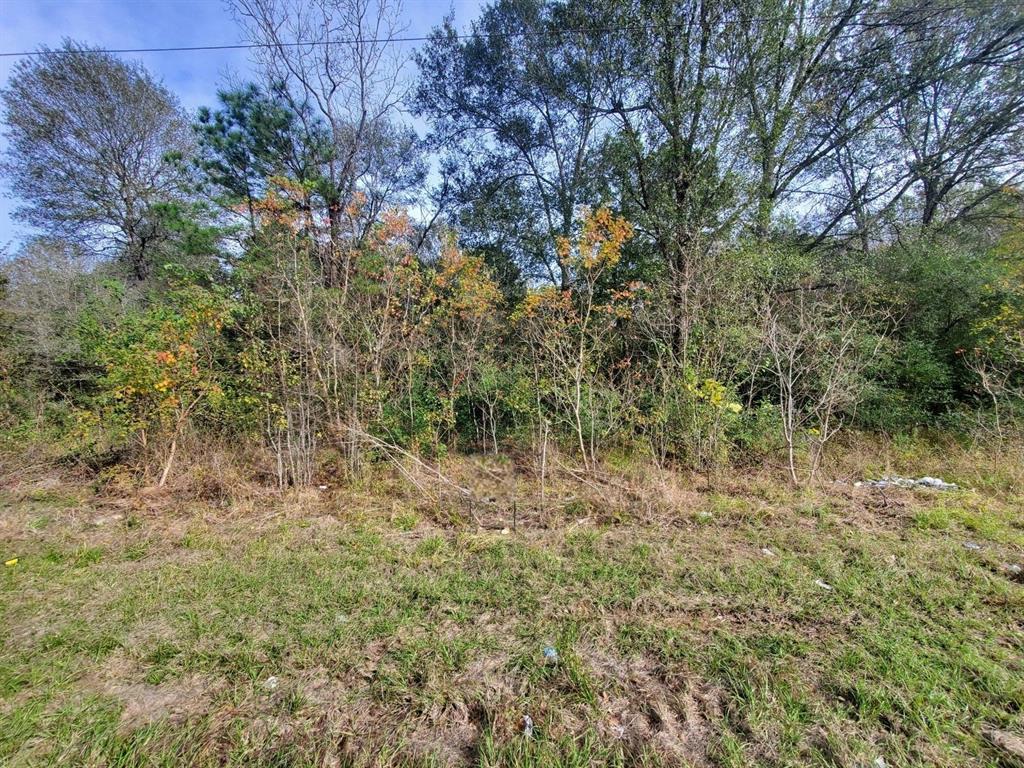 3.915 AC Meador Road, Conroe, Texas image 3