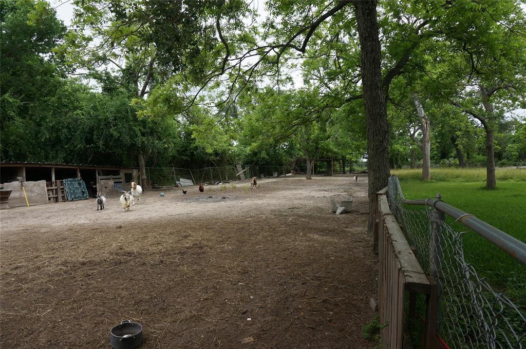 4312 Banner Drive, Houston, Texas image 17