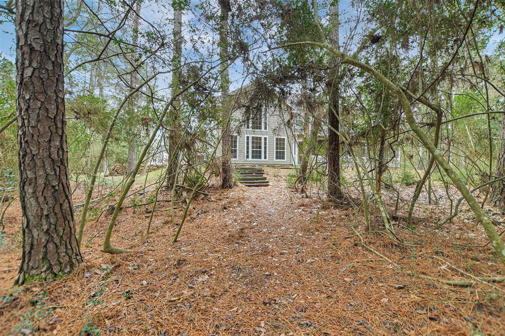 28011 Walnut Creek Court, Magnolia, Texas image 41