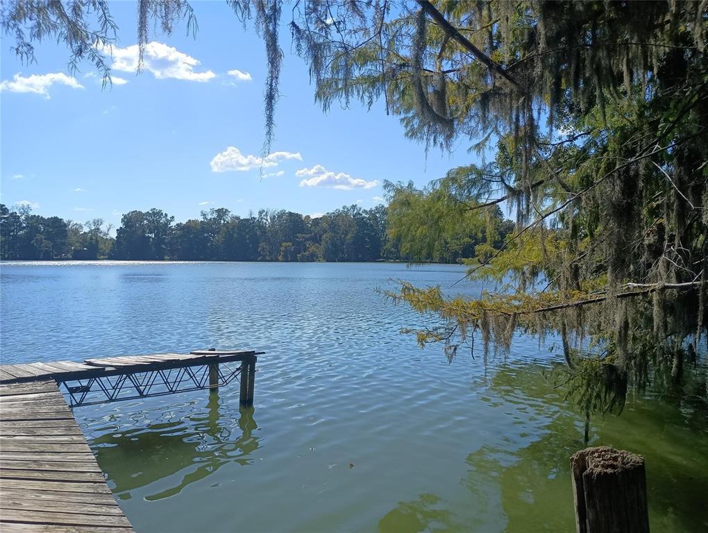 365 County Road 2600, Cleveland, Texas image 1