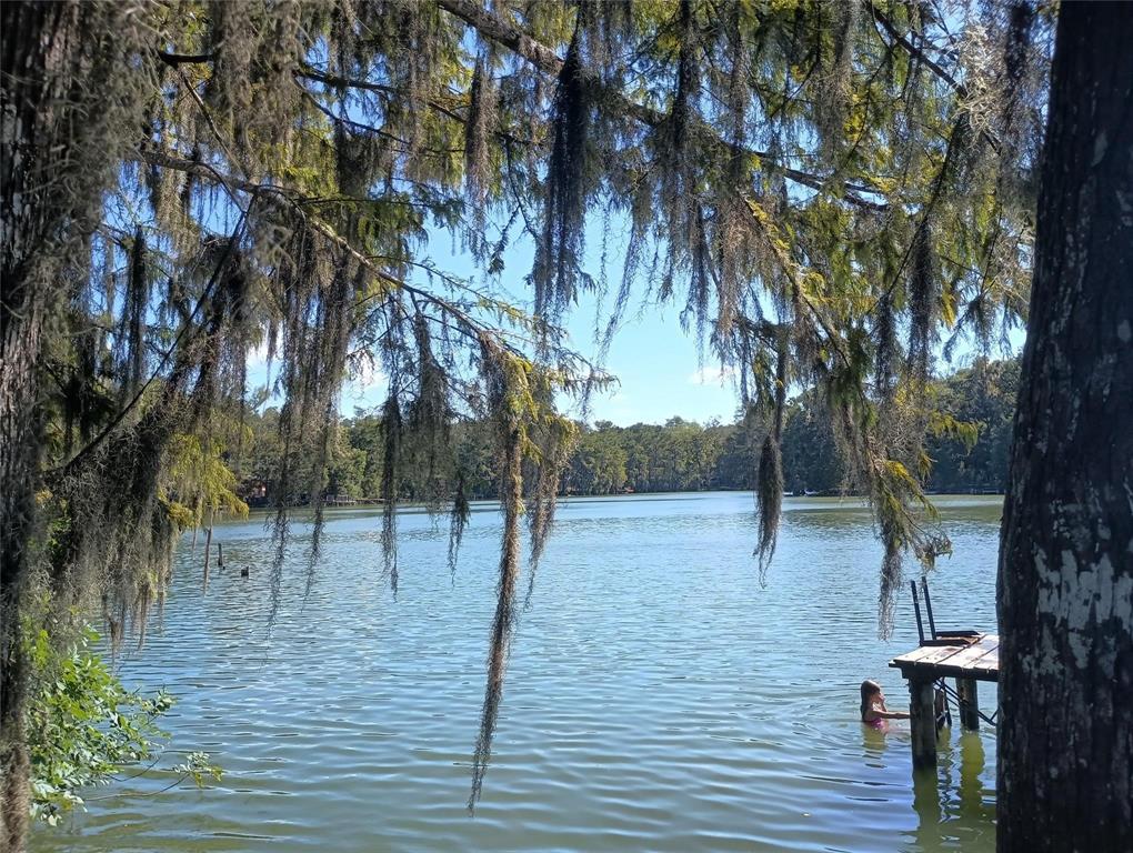 365 County Road 2600, Cleveland, Texas image 11
