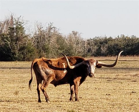 8500 Fm-2004 Hitchcock TX 77563