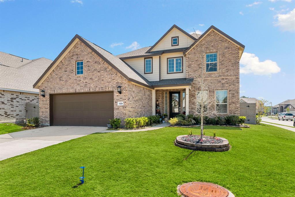 18204 Saffron Sun Street, Conroe, Texas image 1