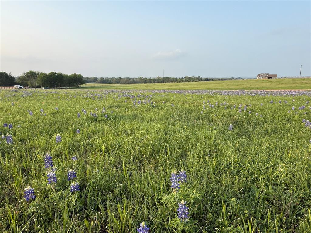 000 Krueger Road, Bleiblerville, Texas image 3