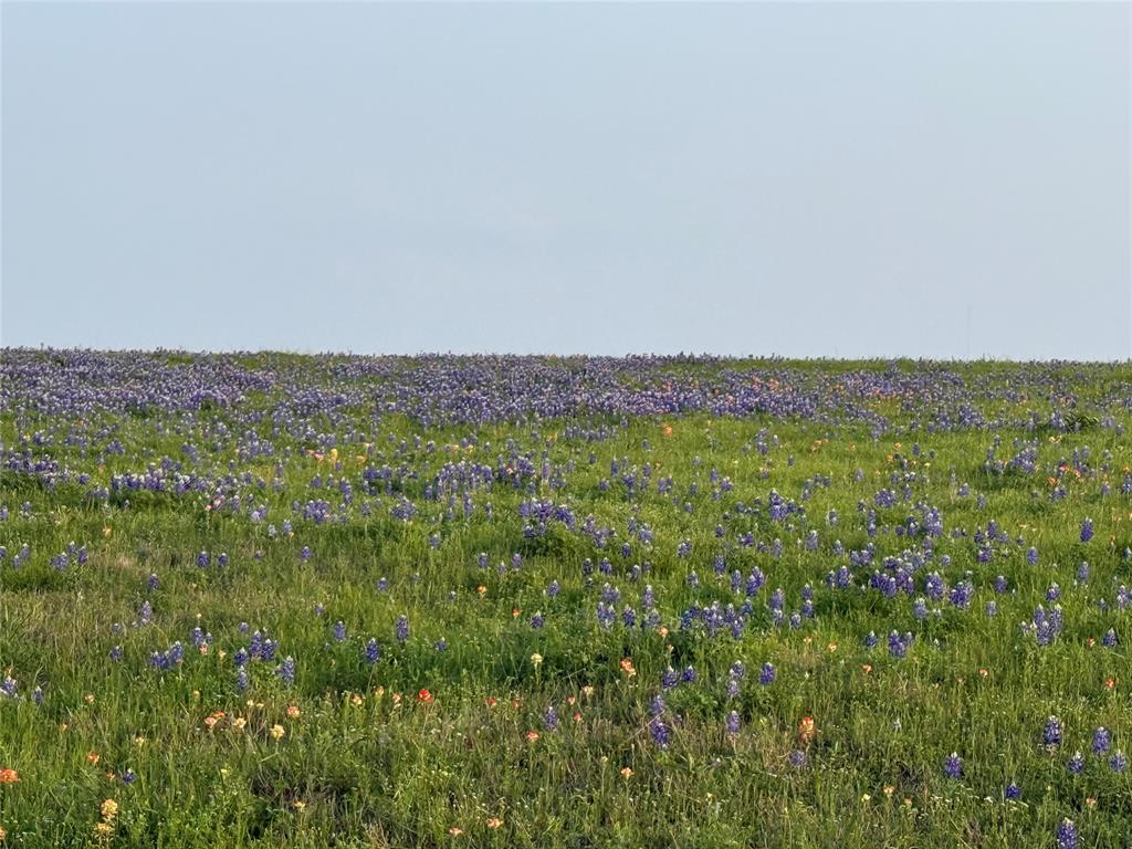 000 Krueger Road, Bleiblerville, Texas image 5