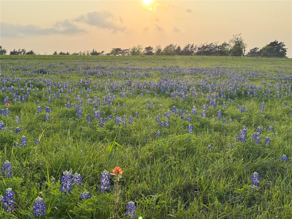 000 Krueger Road, Bleiblerville, Texas image 1
