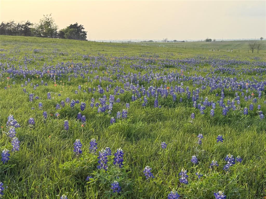 000 Krueger Road, Bleiblerville, Texas image 2