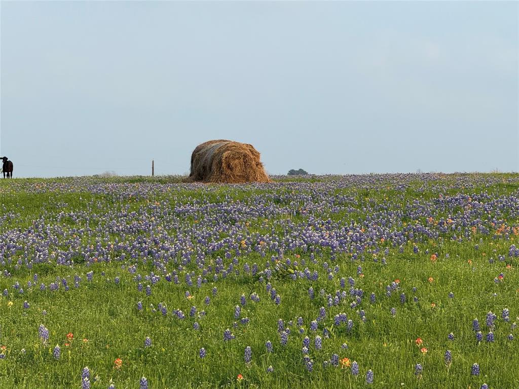 000 Krueger Road, Bleiblerville, Texas image 4