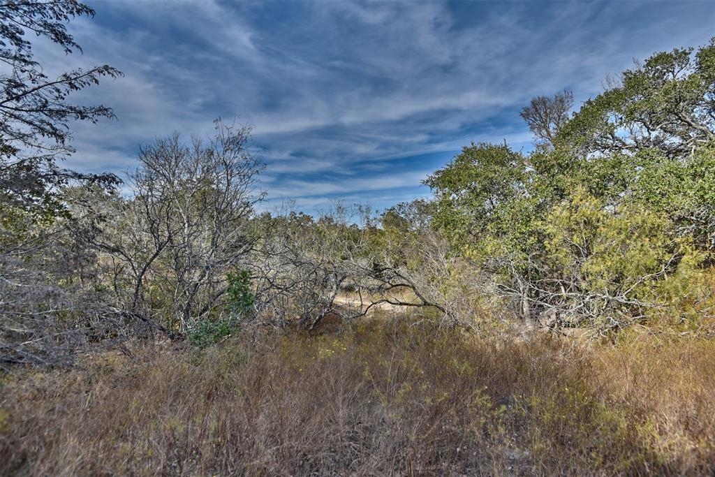 371 Fm 60 East, Somerville, Texas image 10