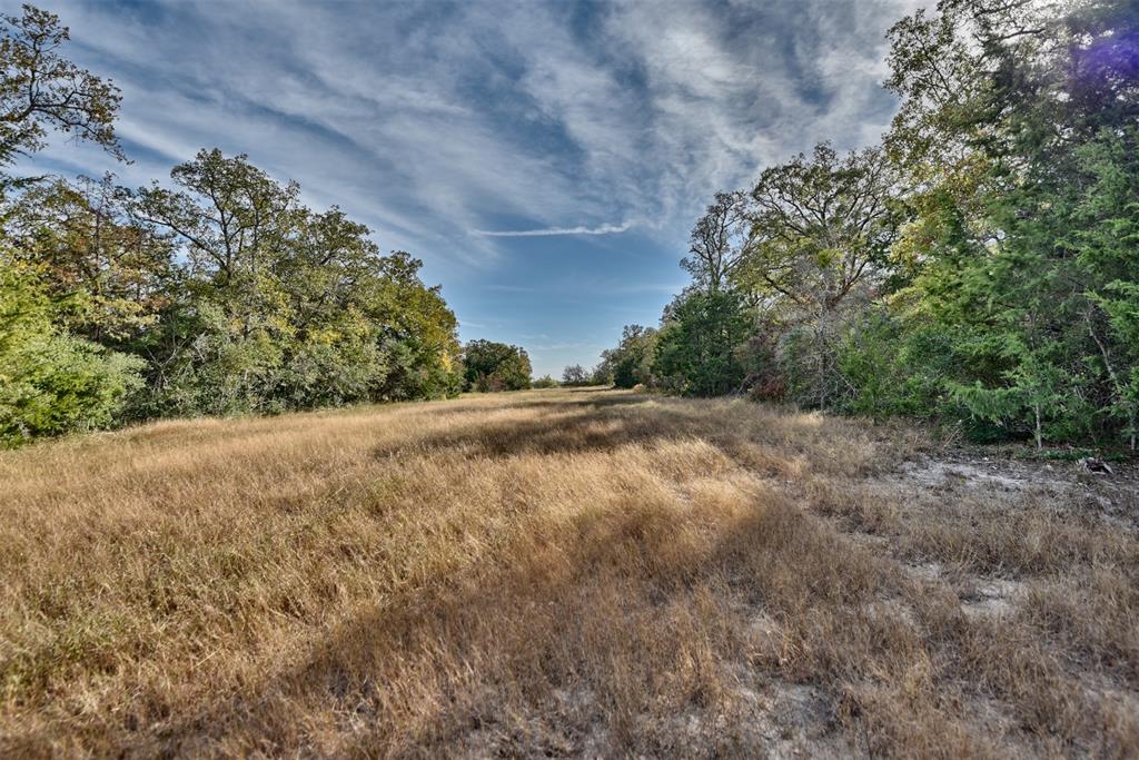 371 Fm 60 East, Somerville, Texas image 7