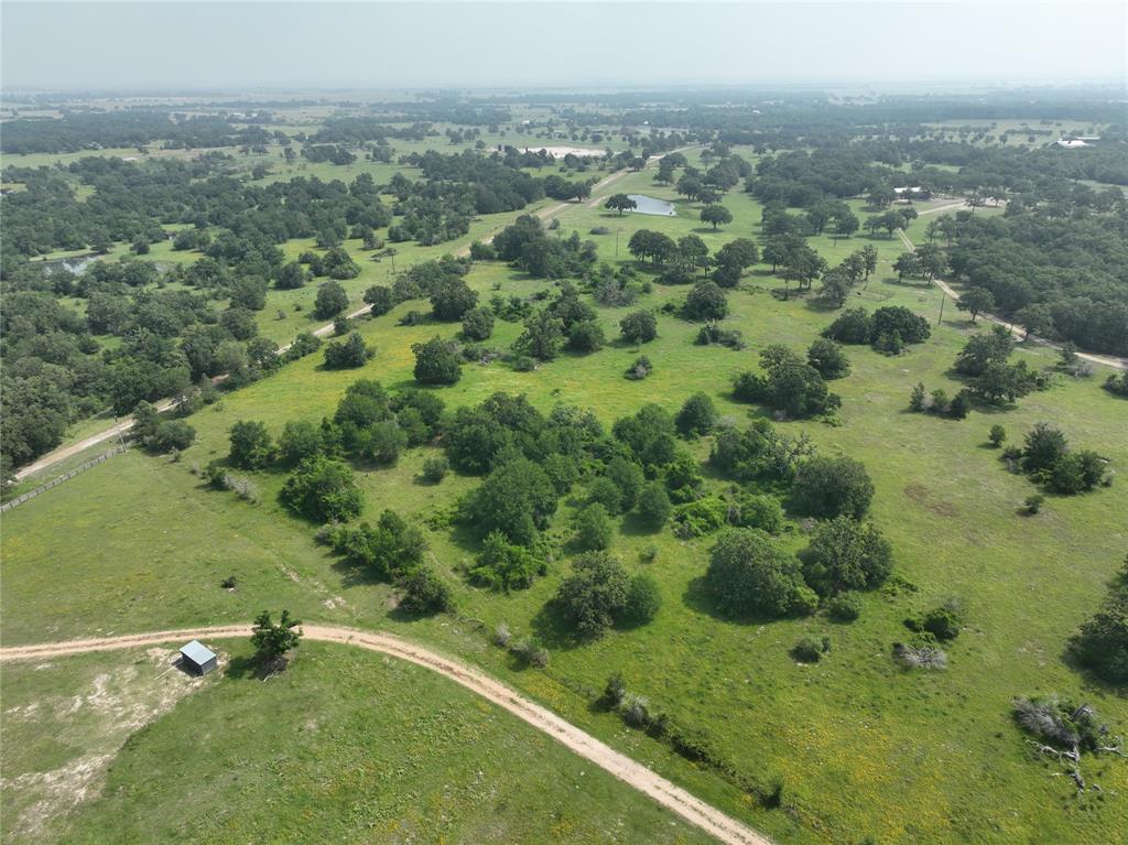 TBD County Road 446 Lane, Snook, Texas image 5