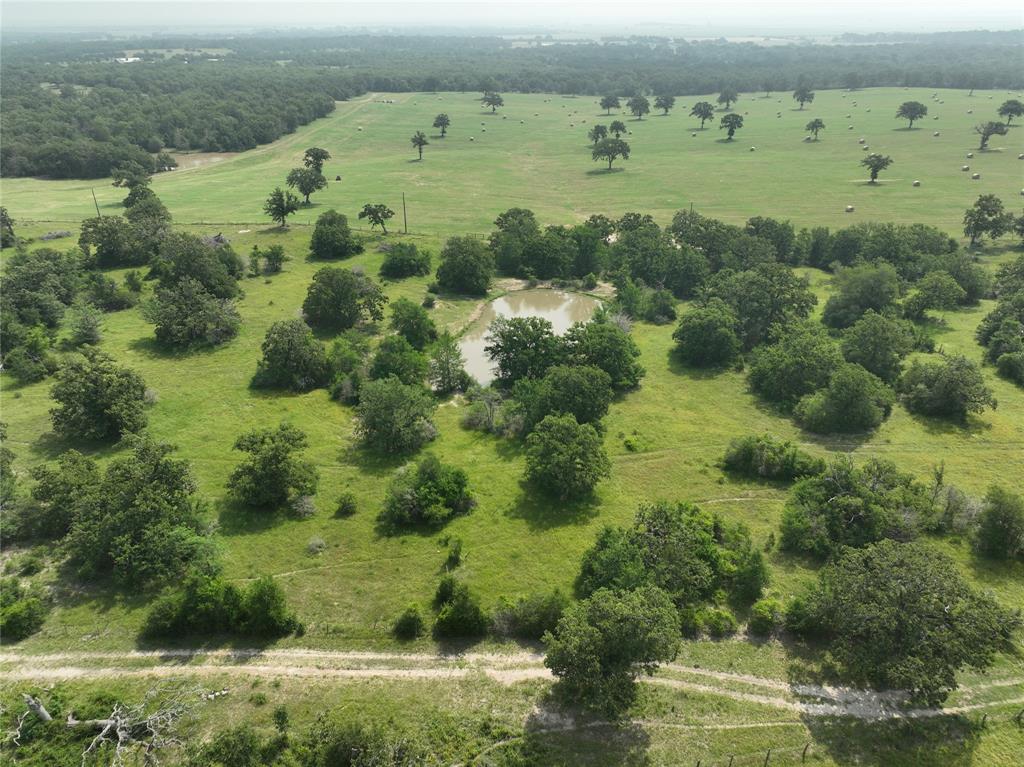 TBD County Road 446 Lane, Snook, Texas image 1