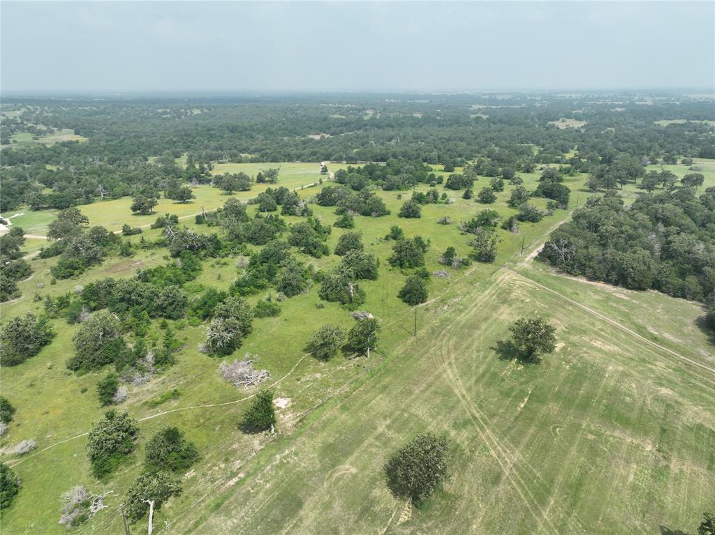 TBD County Road 446 Lane, Snook, Texas image 7
