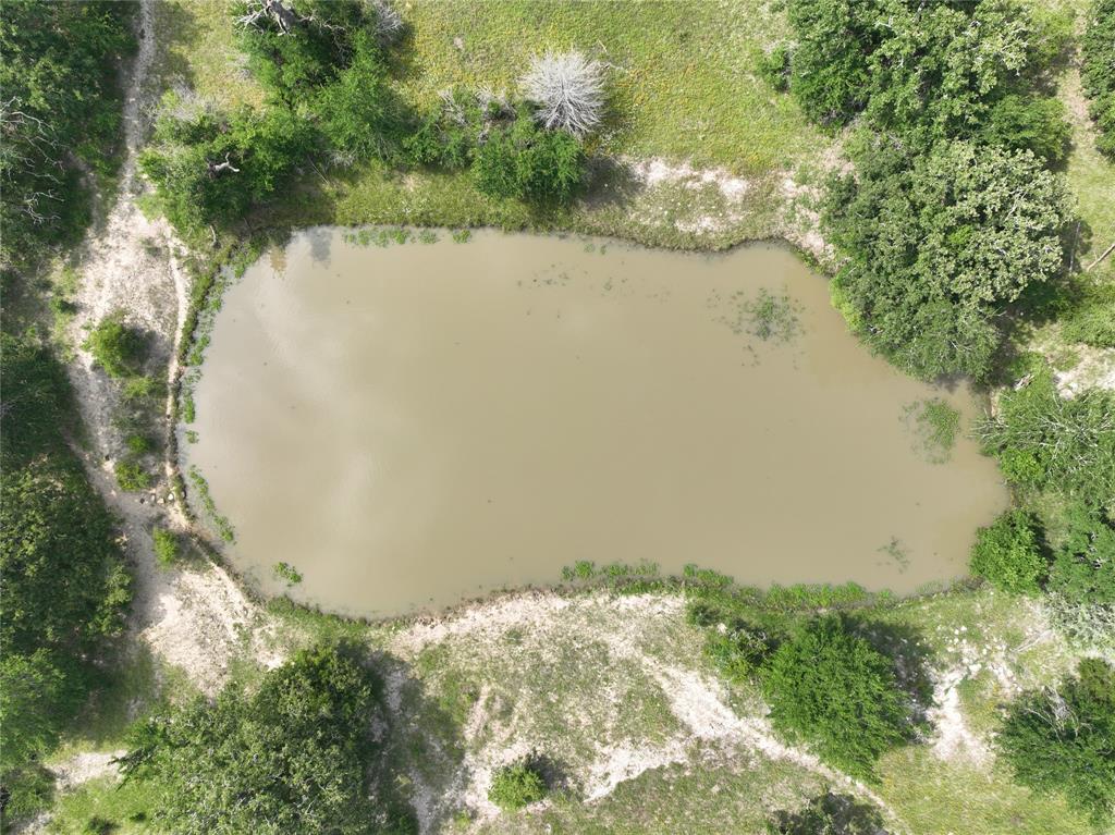 TBD County Road 446 Lane, Snook, Texas image 3