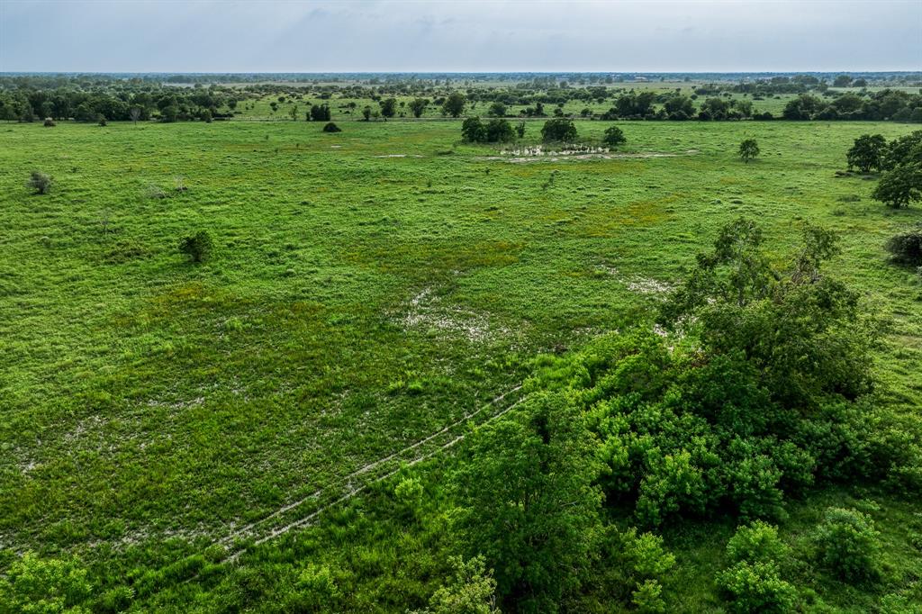 28 Schmidt Road, Waller, Texas image 6