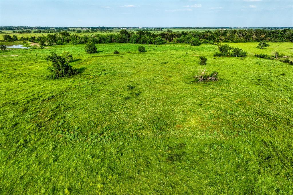 28 Schmidt Road, Waller, Texas image 7