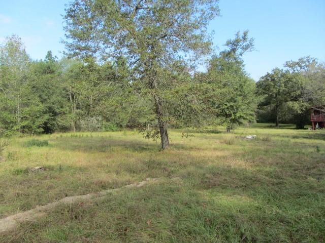 12 Tomahawk Circle, Huntsville, Texas image 8