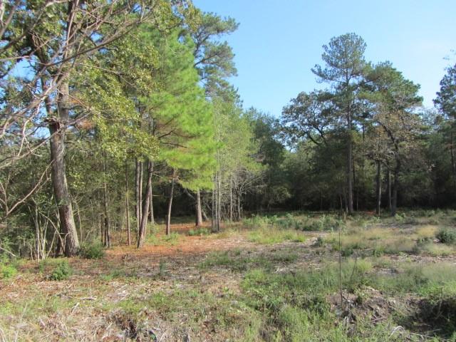 12 Tomahawk Circle