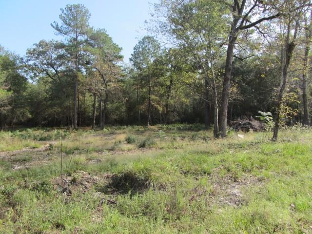 12 Tomahawk Circle, Huntsville, Texas image 1