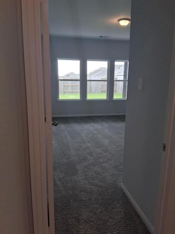 3611 Cardinal Pointe Drive, Angleton, Texas image 15