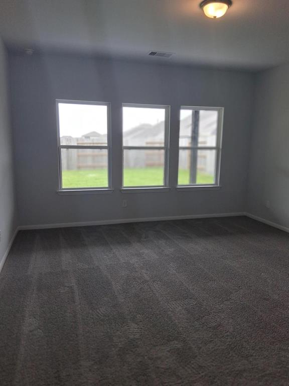 3611 Cardinal Pointe Drive, Angleton, Texas image 16
