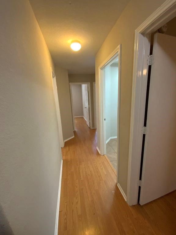 20206 Appaloosa Ridge Drive, Humble, Texas image 36