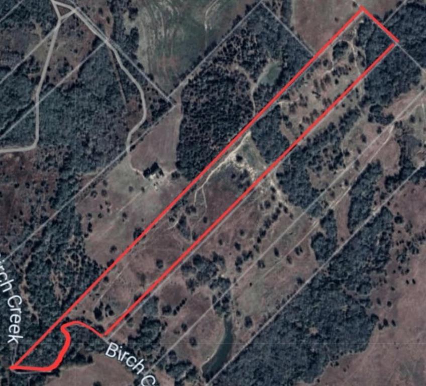 8383 Fm-60, Somerville, Texas image 3