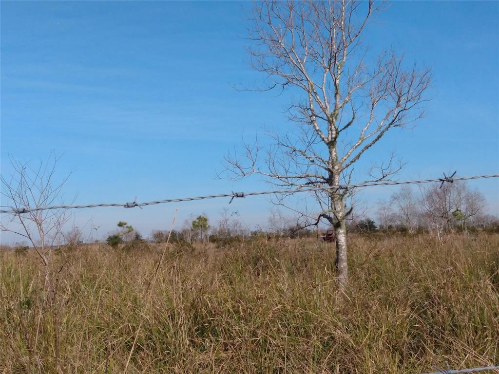 00 Belton Ln Extension, Anahuac, Texas image 4