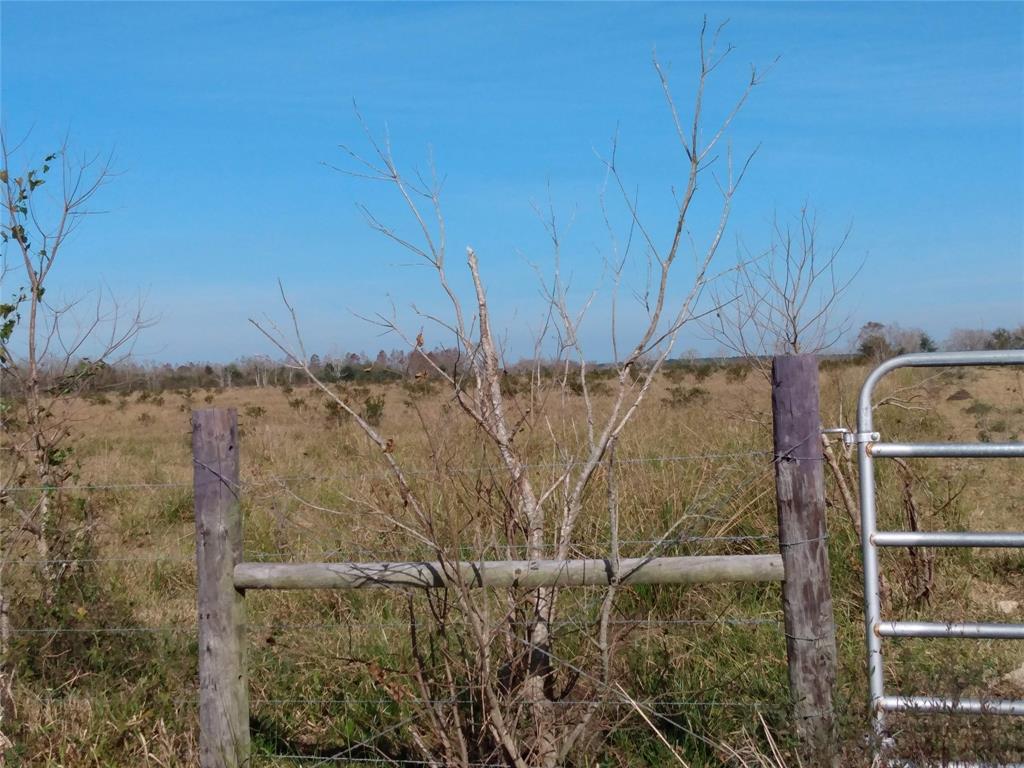 00 Belton Ln Extension, Anahuac, Texas image 3