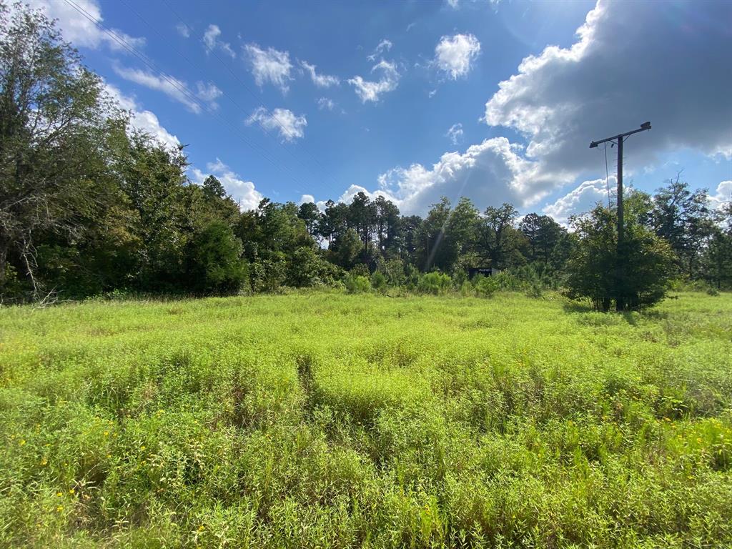 TBD Cr 4545, Crockett, Texas image 3