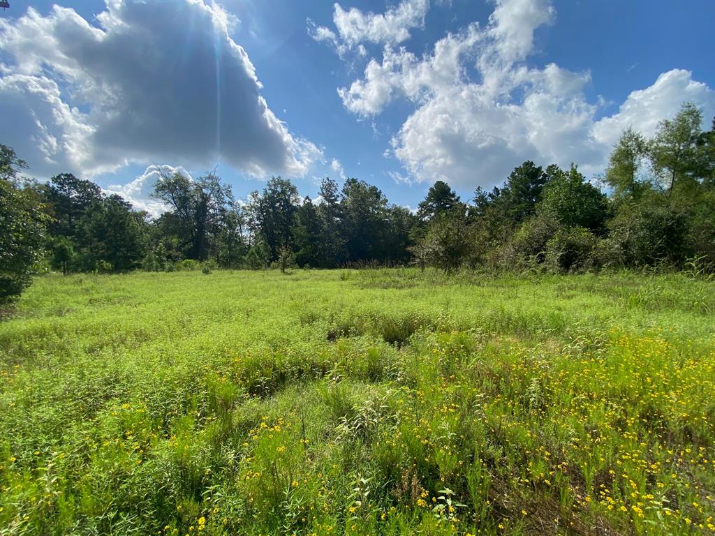 TBD Cr 4545, Crockett, Texas image 4