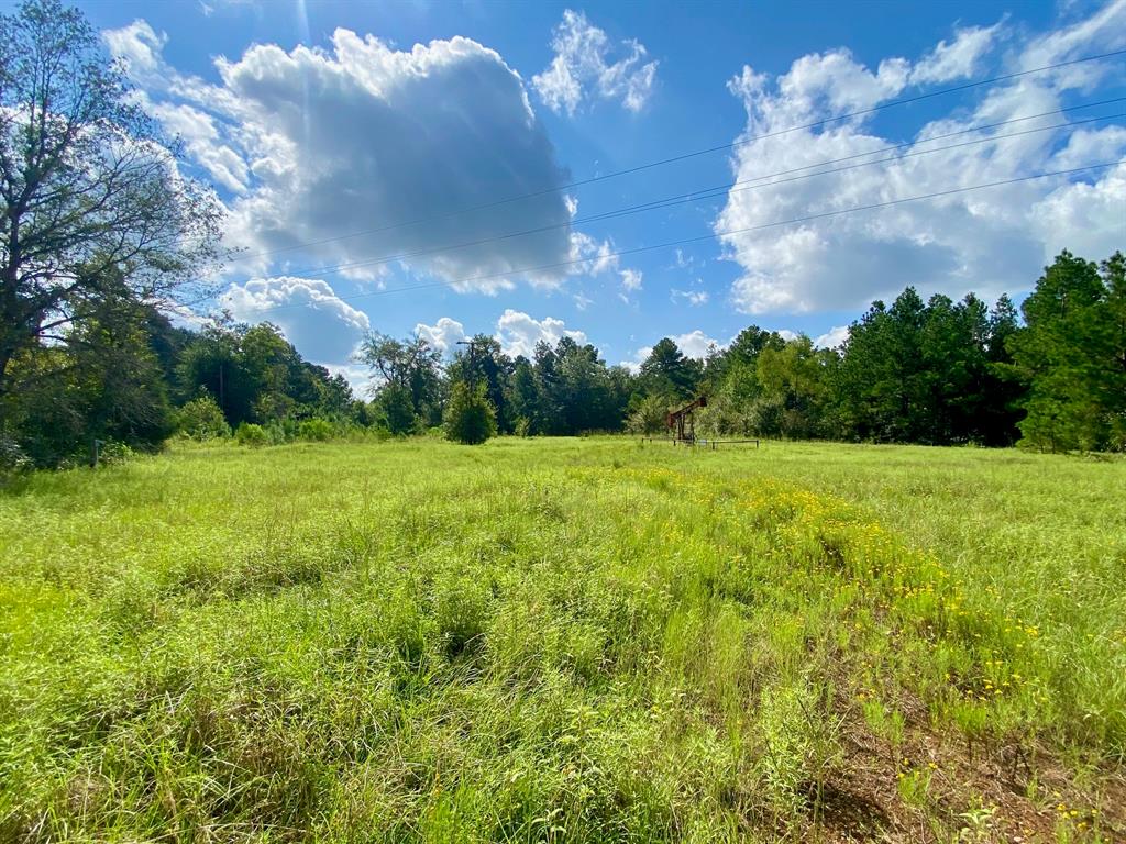 TBD Cr 4545, Crockett, Texas image 7