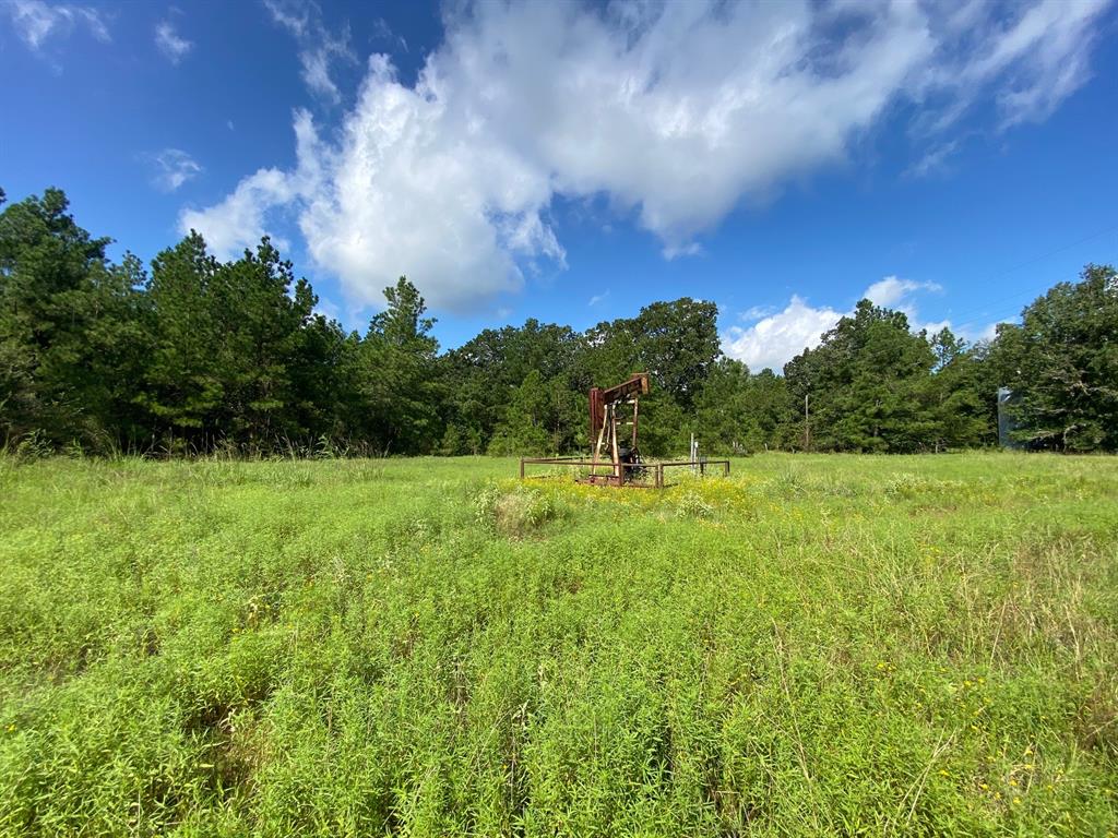 TBD Cr 4545, Crockett, Texas image 8