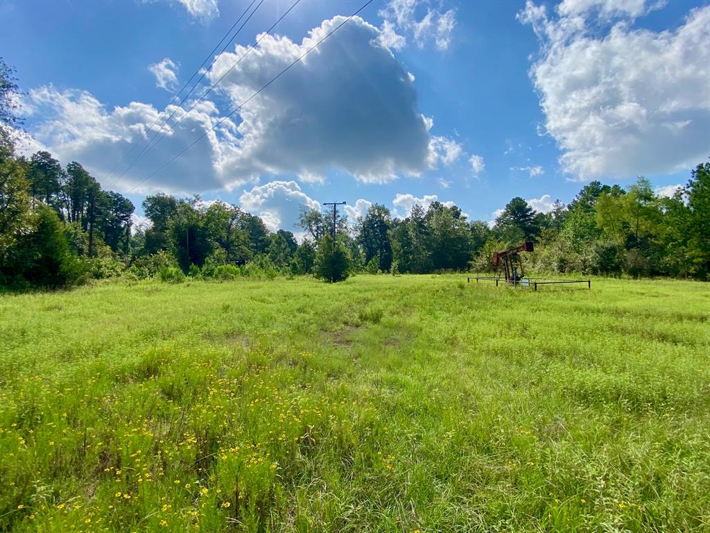 TBD Cr 4545, Crockett, Texas image 6