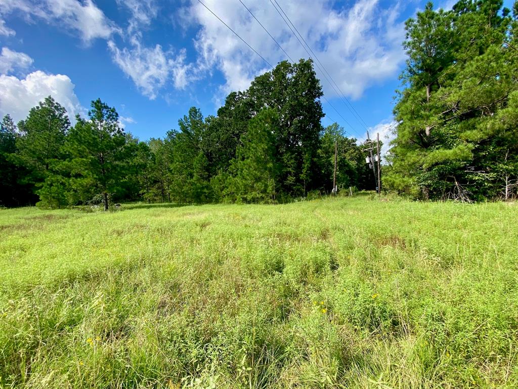 TBD Cr 4545, Crockett, Texas image 1