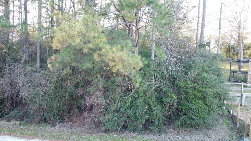 TBD Harbor Drive, Onalaska, Texas image 10
