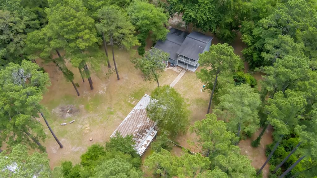 32901 Pine Tree Lane