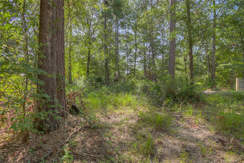 Antilles Drive, Point Blank, Texas image 10