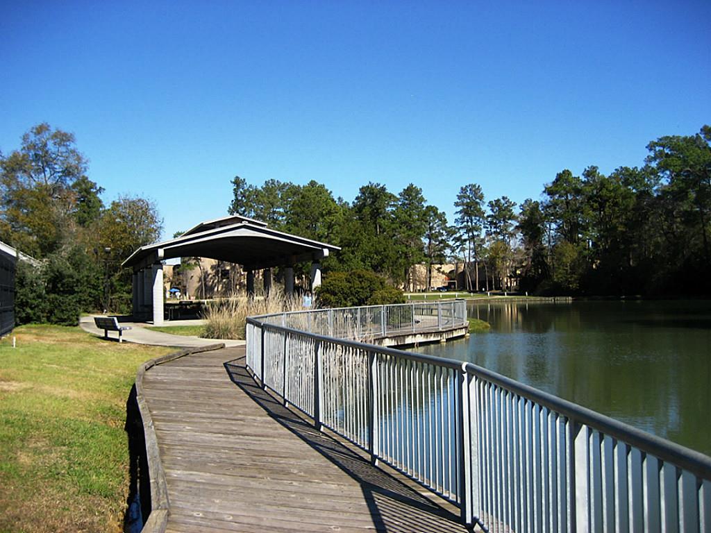 3500 Tangle Brush Drive #55, The Woodlands, Texas image 32