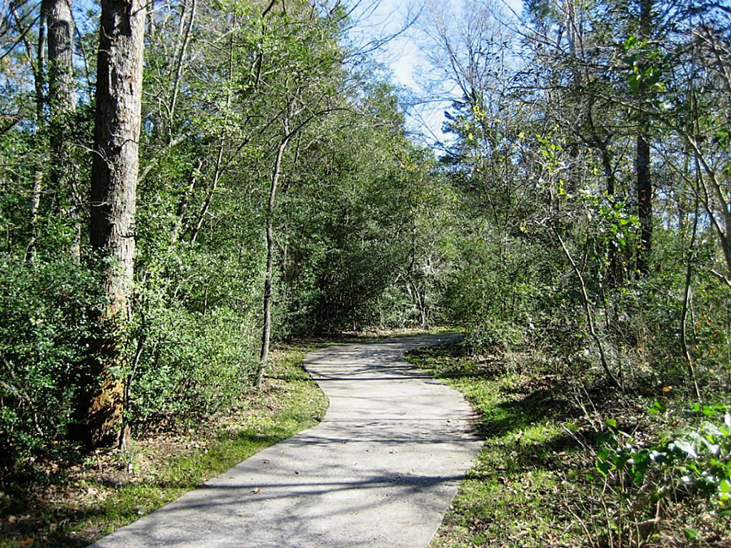 3500 Tangle Brush Drive #55, The Woodlands, Texas image 39