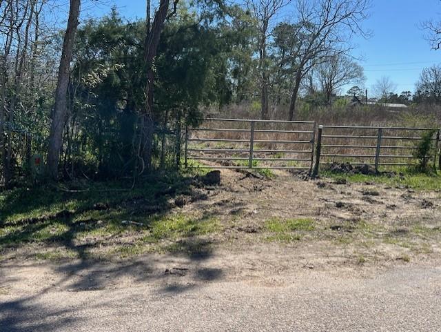 00 Woodland Lane, Dayton, Texas image 3