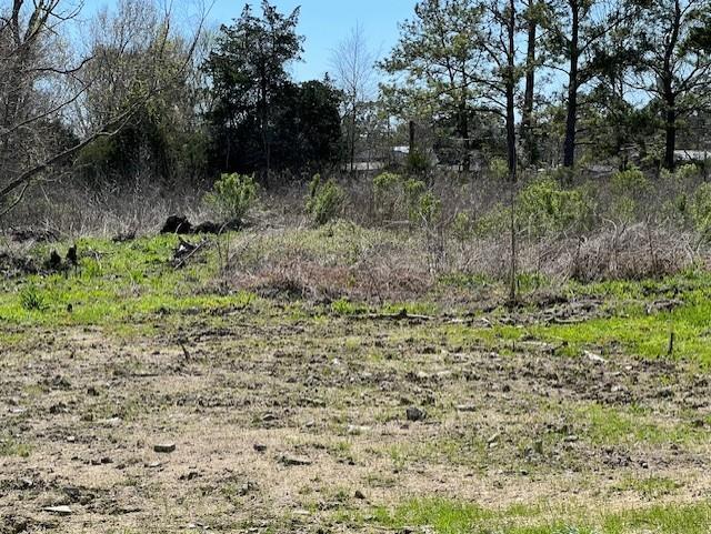 00 Woodland Lane, Dayton, Texas image 6